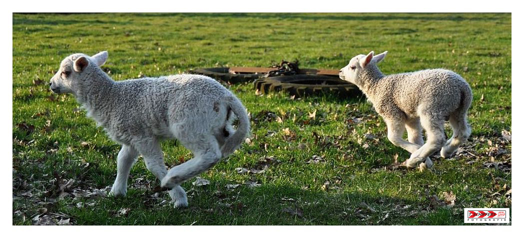 schöne Ostern ...