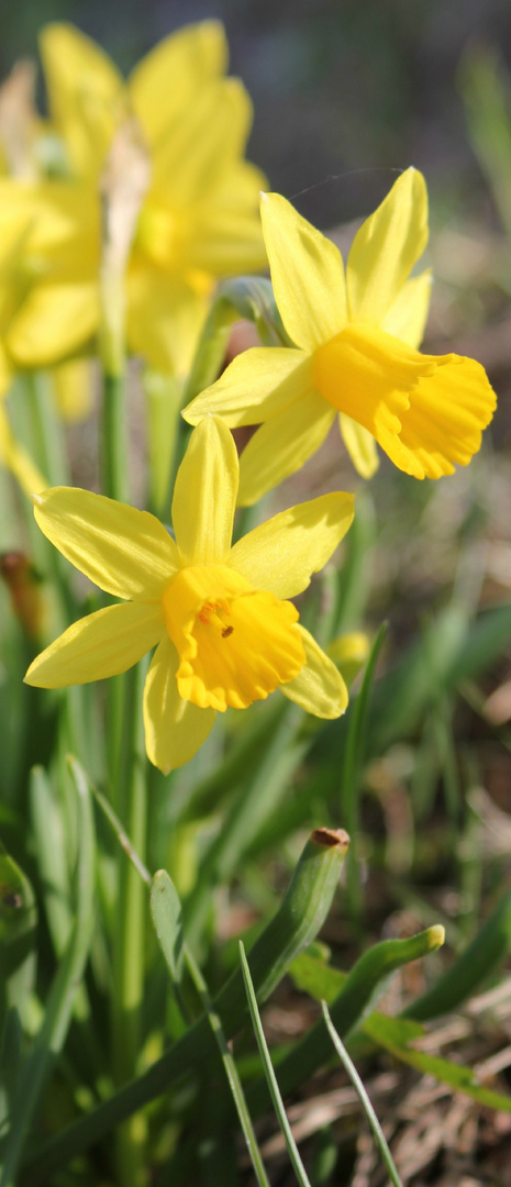 Schöne Ostern an alle :-)