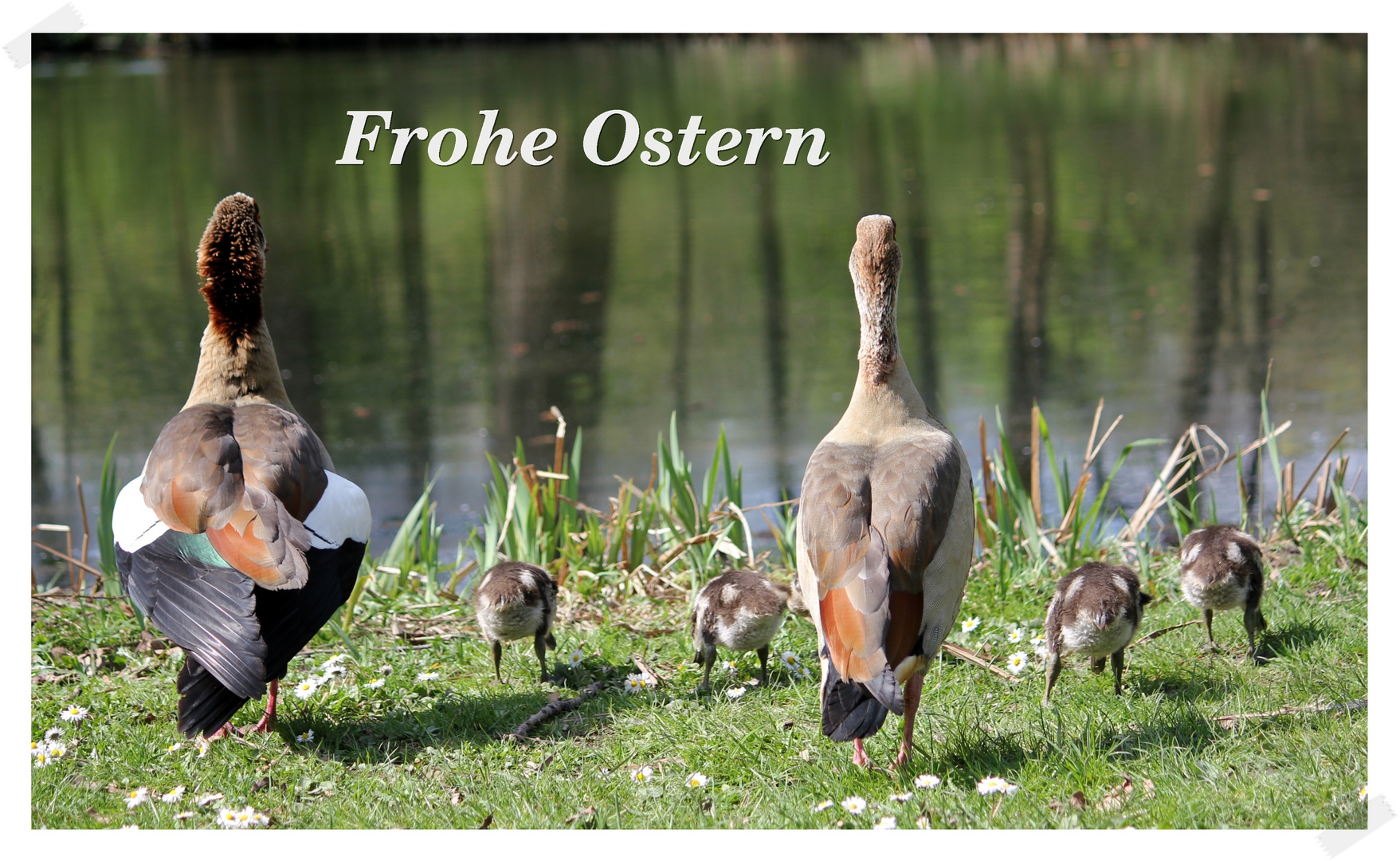 schöne Ostern