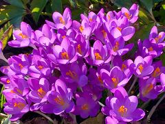 Schöne Ostern