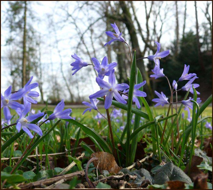 Schöne Ostern II