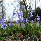 Schöne Ostern II