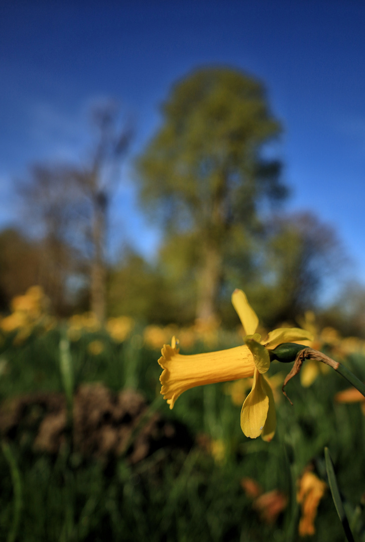 Schöne Ostern liebe Community