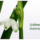 Schöne Ostertage