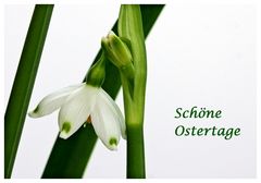 Schöne Ostertage