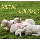 Schöne Ostertage