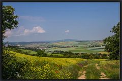 SCHÖNE PFALZ