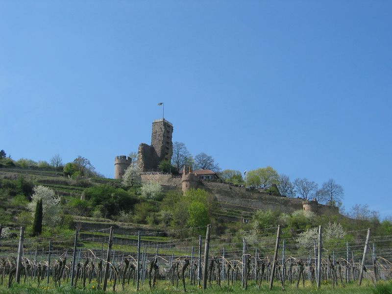 Schöne Pfalz  unsere Wachtenburg