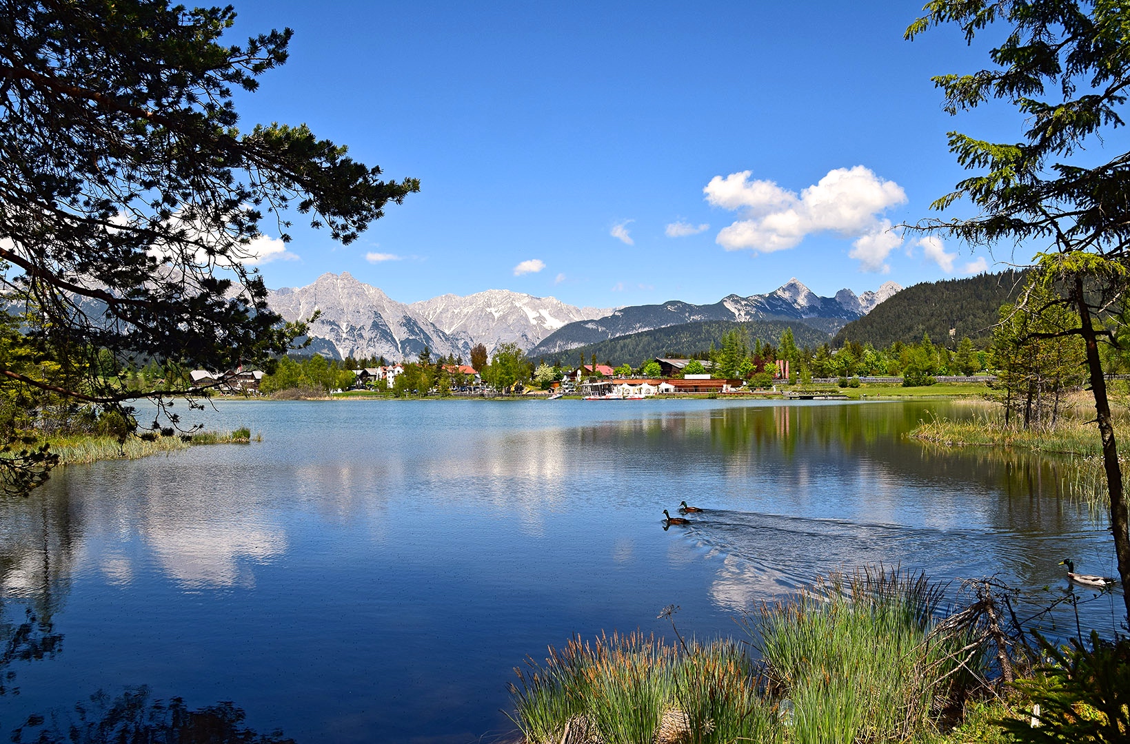 Sch ne Pfingsten Foto Bild world fr hling natur Sch ne Pfingsten Foto Bild world fr hling natur
