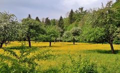 schöne Plätze rund um den Chiemsee