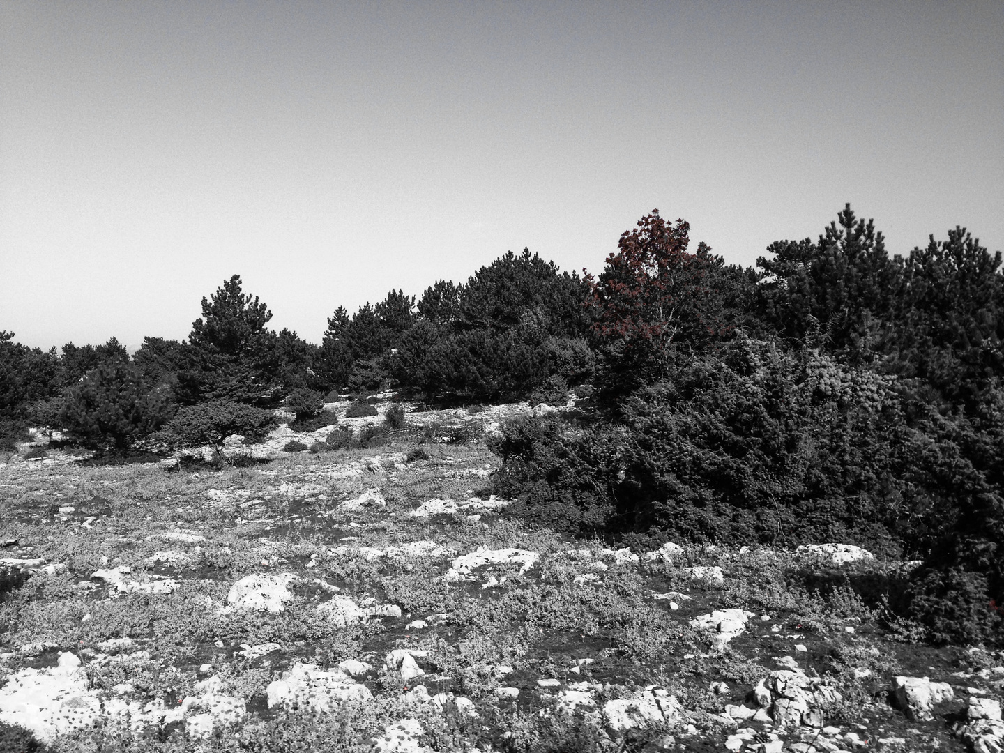 Schöne raue Karst Landschaften