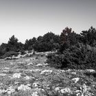 Schöne raue Karst Landschaften