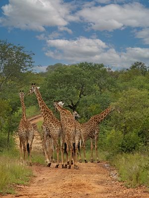 Schöne Rücken.....