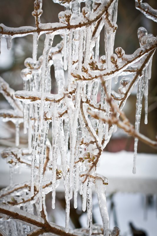 Schöne schöne Eiszeit..