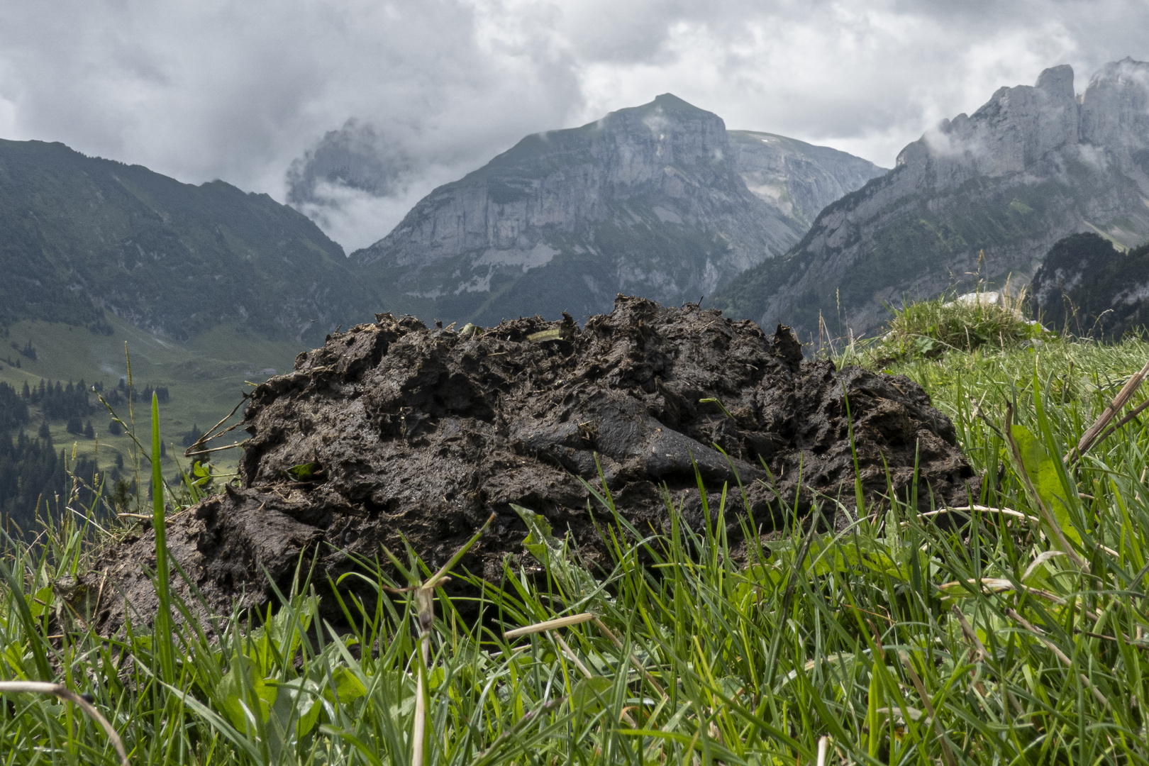 Schöne Schweiz - wo Berge sich erheben!