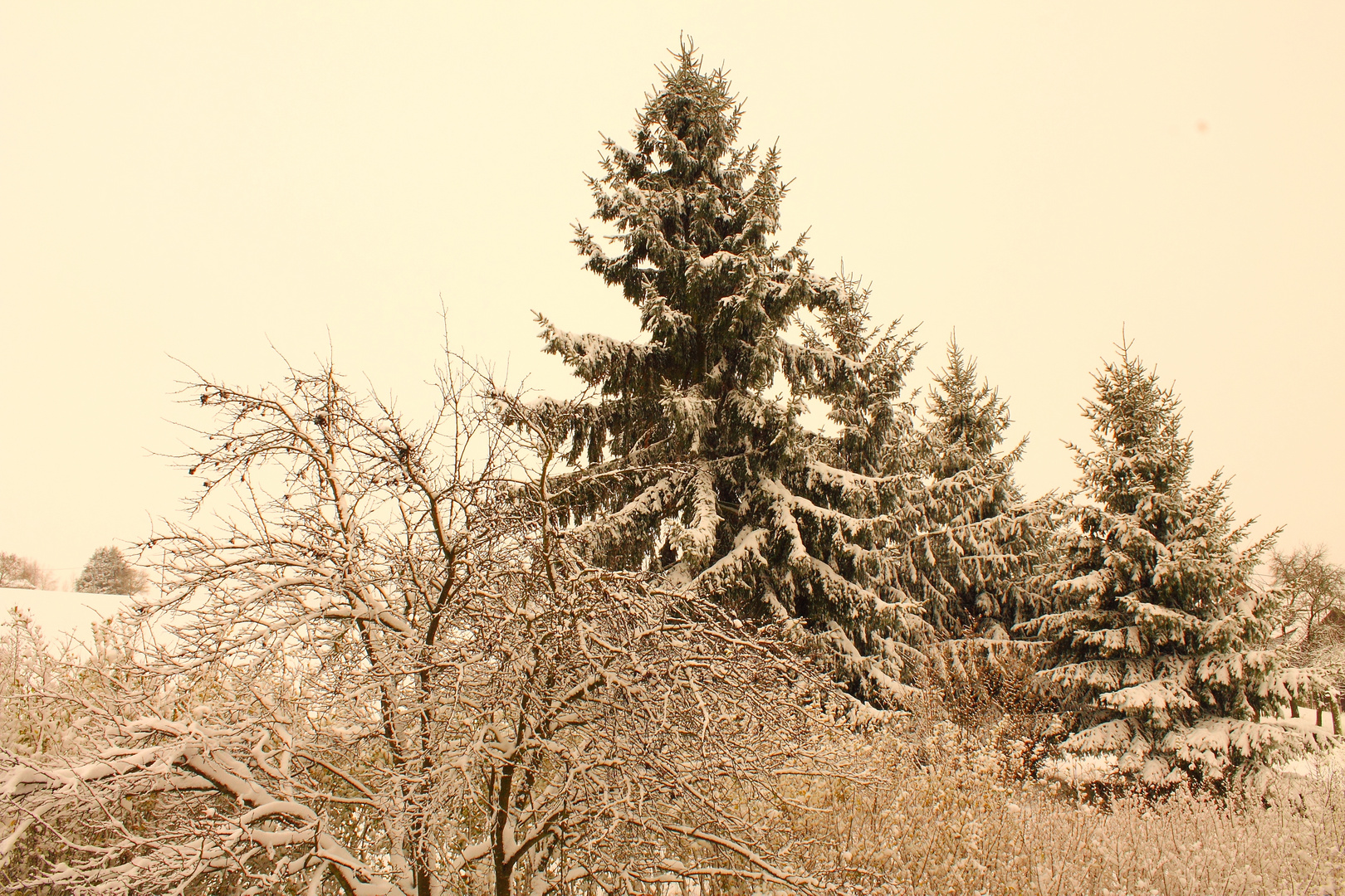 Schöne seiten des Winters