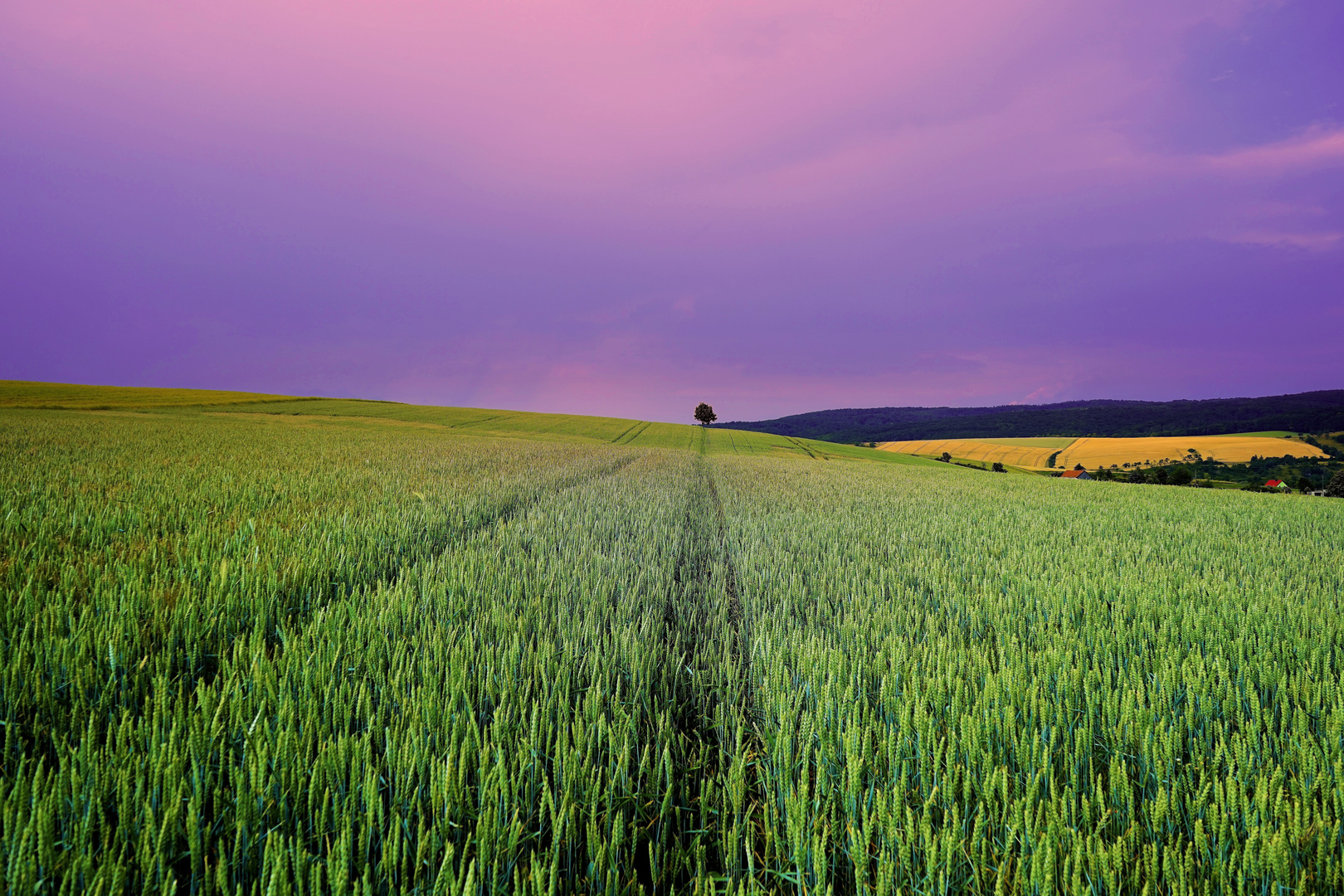 Schöne Sommerlandschaft