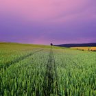 Schöne Sommerlandschaft