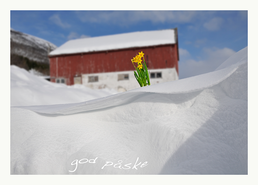 schöne sonnige Ostern