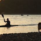 schöne Stimmung am Rhein