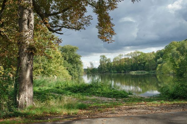 Schöne Stimmung am See