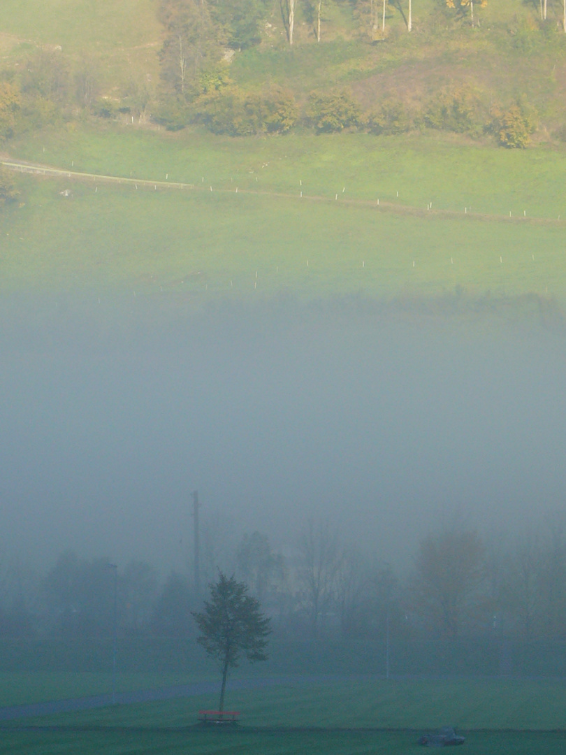 Schöne Stimmung