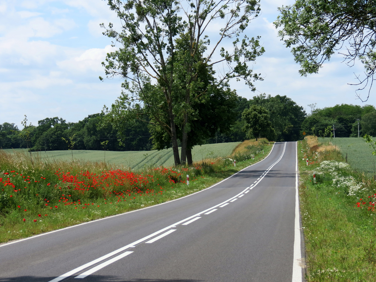 Schöne Straße in Polen