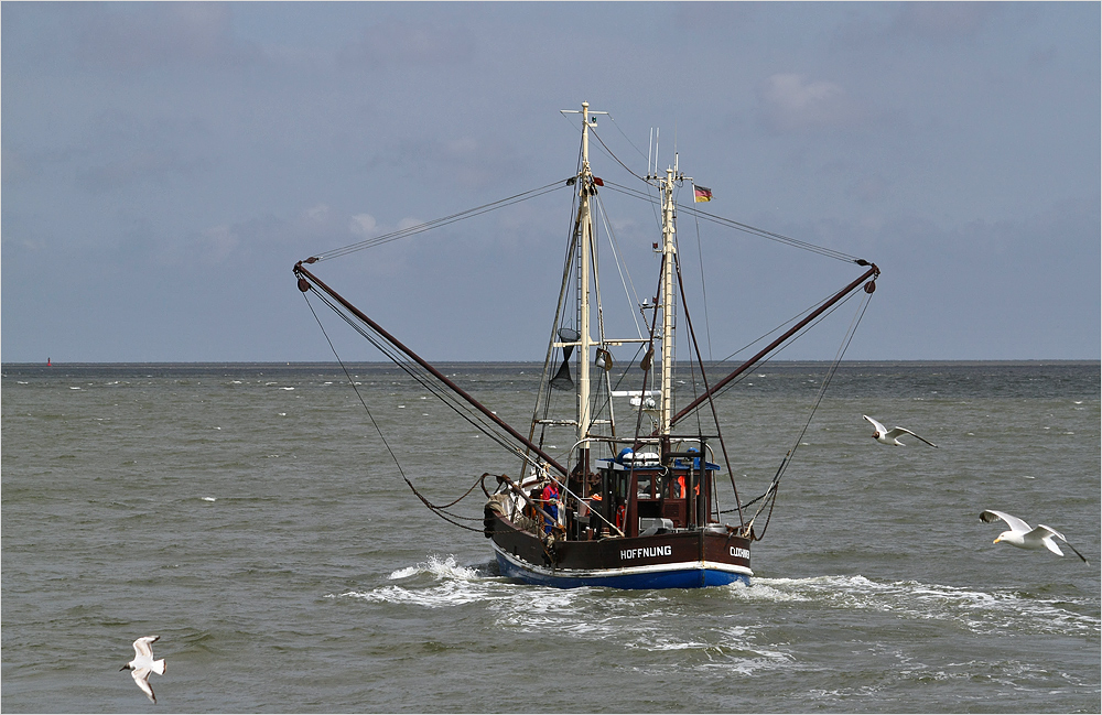 schöne Tage an der Nordseeküste ...