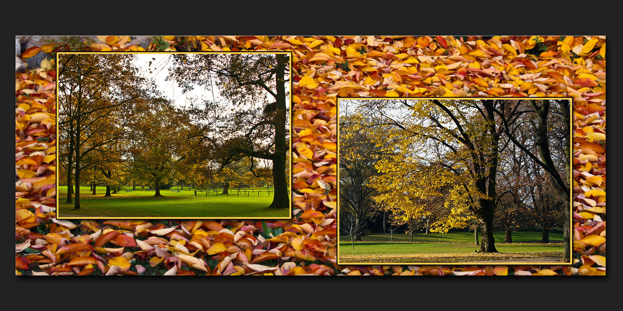 SCHÖNE TAGE IM NOVEMBER