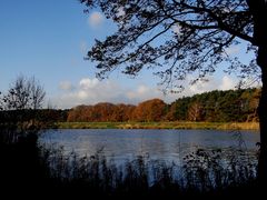 Schöne Tage im November