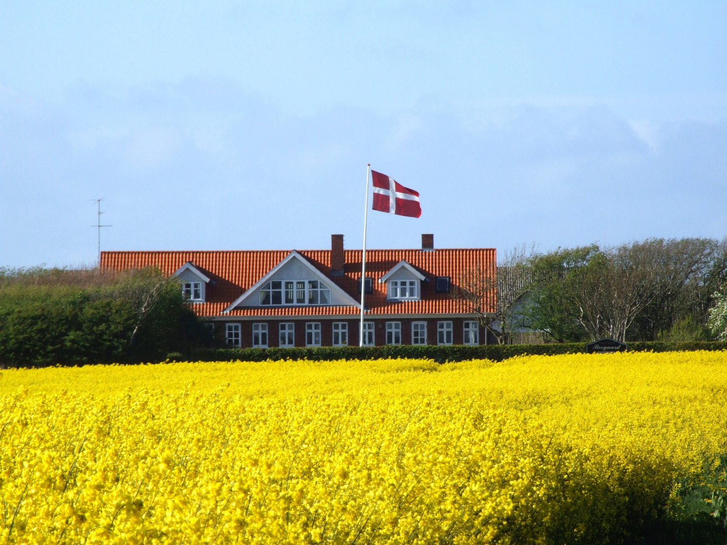 Schöne Tage in Lokken