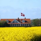 Schöne Tage in Lokken