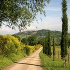 Schöne Toscana