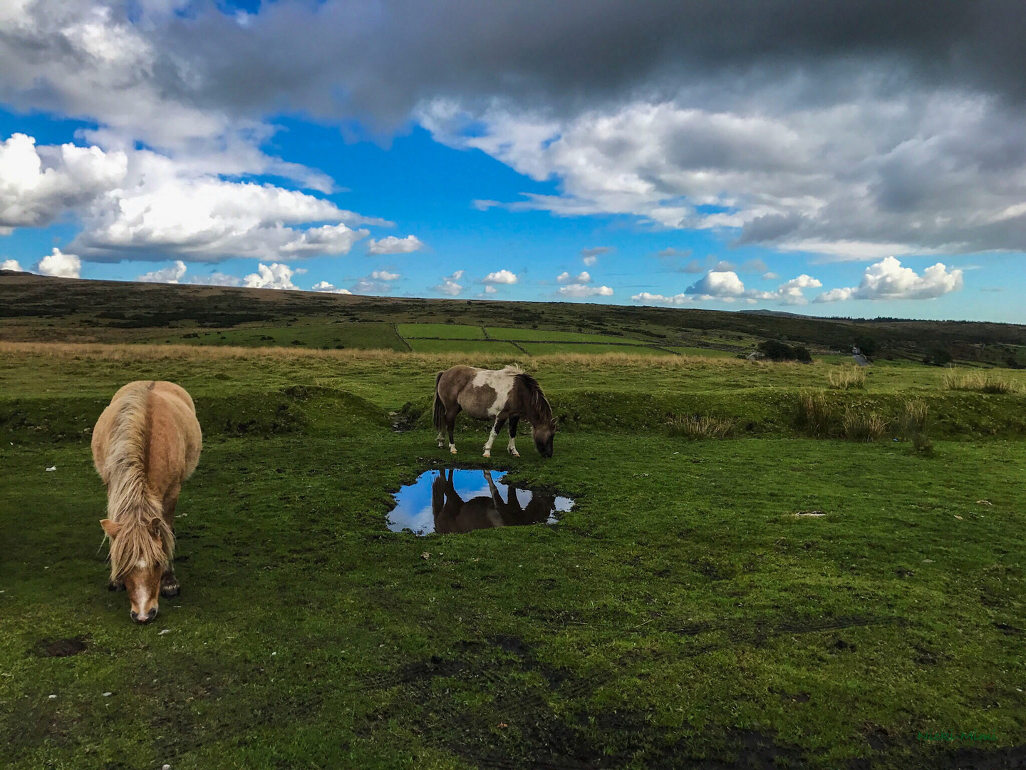 Schöne Tour durch das Dartmoor mit dem Motorrad