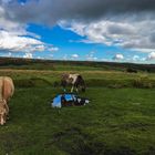 Schöne Tour durch das Dartmoor mit dem Motorrad