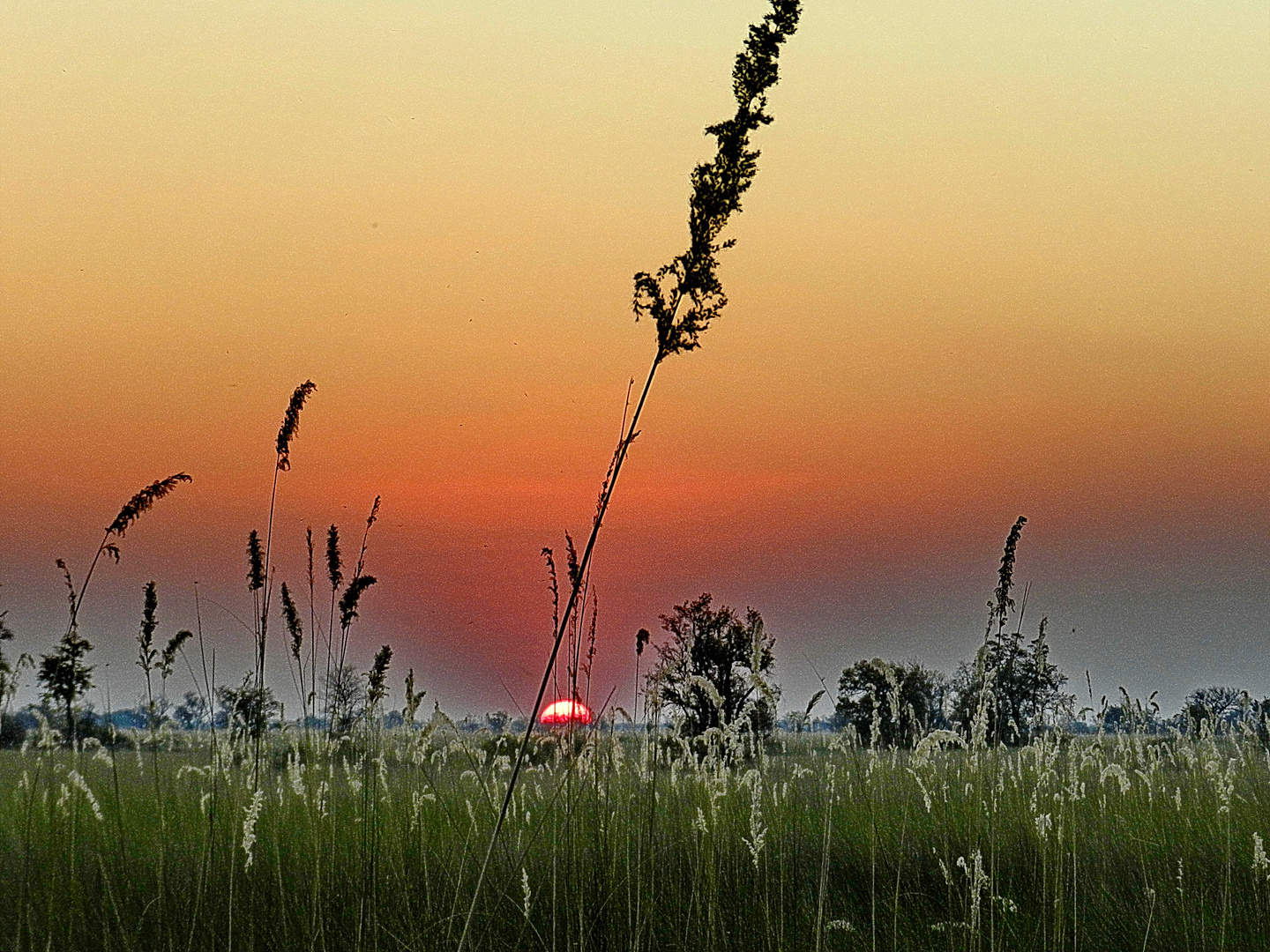 Schöne Träume Foto & Bild | landschaft, natur Bilder auf fotocommunity
