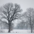 Schöne Tristesse