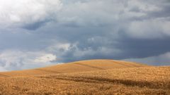 schöne Uckermark ...