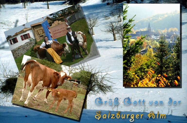 Schöne Urlaubsgrüße von der Salzburger Alm (II)