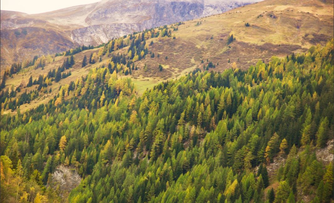 schöne ursprüngliche Landeschaften und Hügel in Slovenien