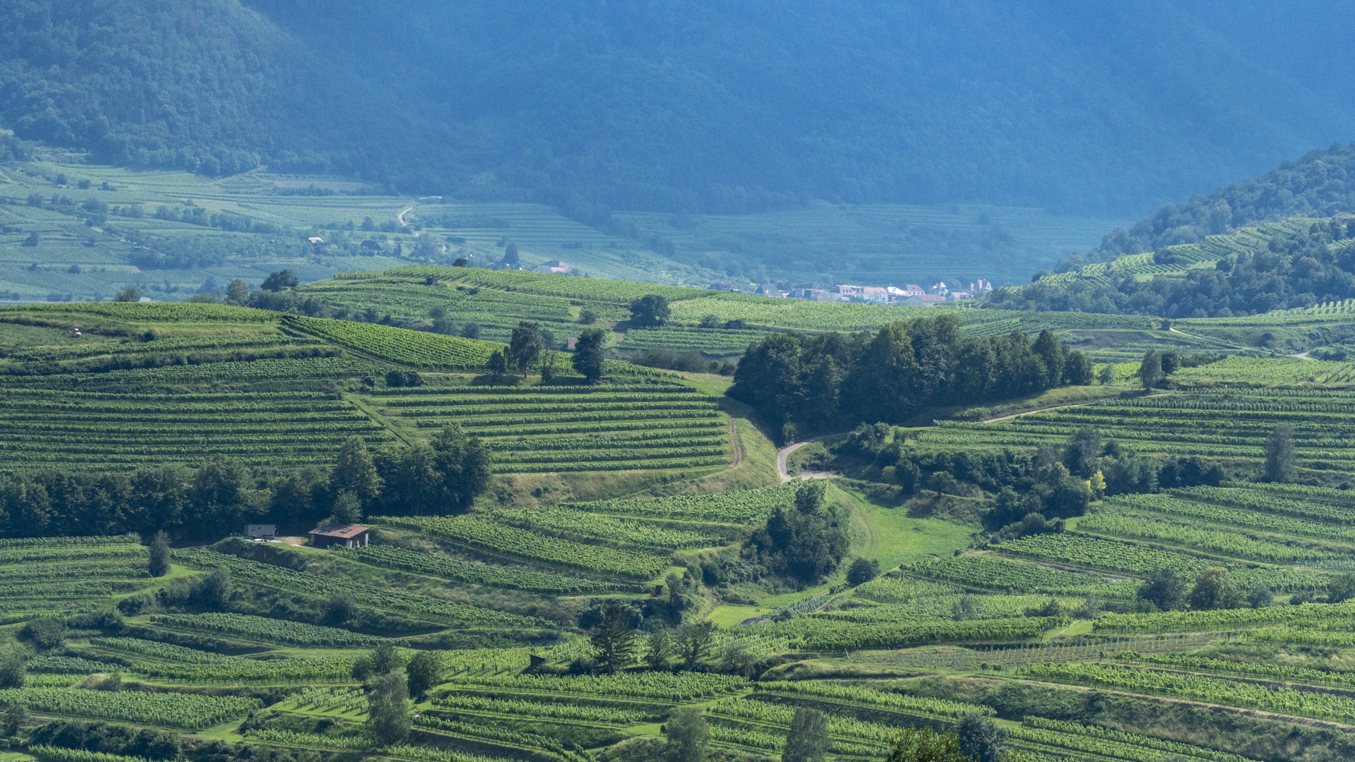 SCHÖNE WACHAU