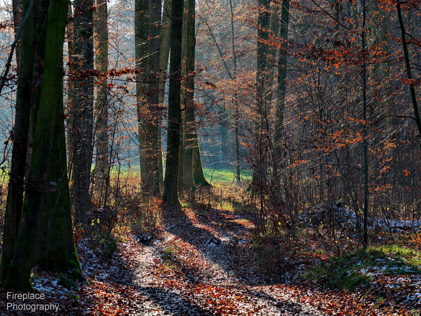 Schöne Waldspaziergang. Attnang Puchheim, Österreich