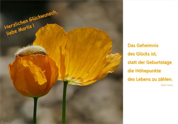 Schöne warme Farben...