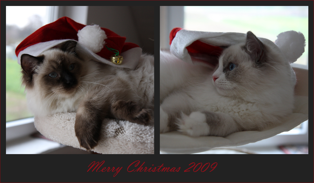 Schöne Weihnachten 2009