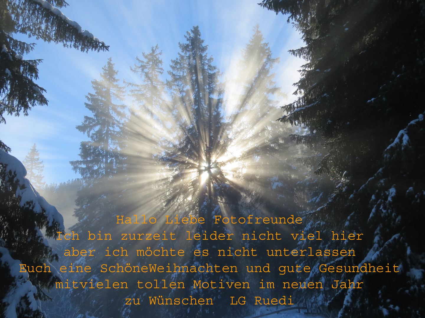 Schöne Weihnachten Foto & Bild | gratulation und feiertage, weihnachten