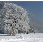 schöne Weihnachten