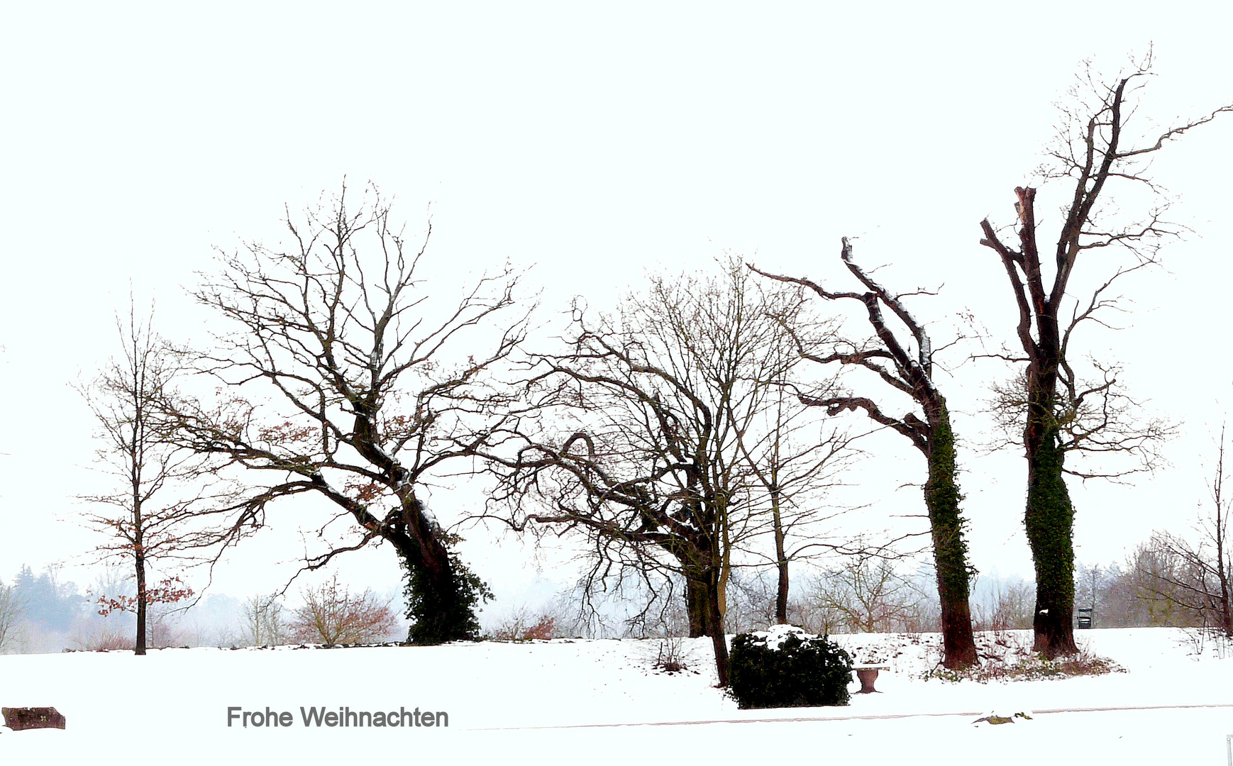 Schöne Weihnachten