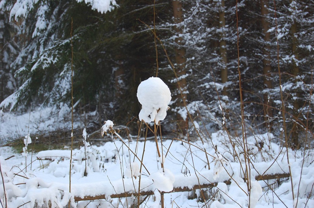 Schöne Weihnachten