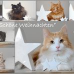 "Schöne Weihnachten"