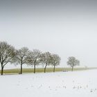 Schöne Weihnachten